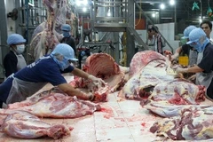 Một cơ sở giết mổ gia súc. (Ảnh: TTXVN)