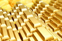 (Ảnh minh họa: Internet)