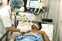 Điều trị cho bệnh nhân mắc bệnh liên cầu lợn. (Ảnh: TTXVN)