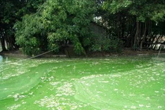 Ảnh chỉ có tính minh họa. (Nguồn: Internet)