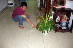 (Ảnh minh họa: Internet)