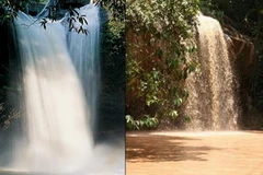 Dòng thác vốn trắng xóa giờ thành dòng nước bùn vàng. (Ảnh: Phan Văn Đông/Vietnam+) 