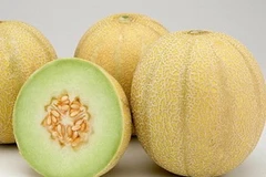 Ảnh minh họa. (Nguồn: Internet)