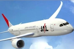 Máy bay của hãng hàng không Nhật Bản Japan Airlines (JAL). (Nguồn: Internet)