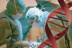 Ảnh chỉ có tính minh họa. (Nguồn: Internet)