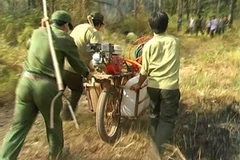 (Ảnh: Hoàng Tuấn/Vietnam+)