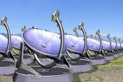 (Ảnh minh họa: Internet)