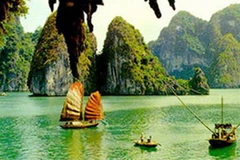 Ảnh chỉ có tính minh họa. (Nguồn: Internet)