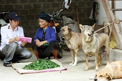 Nhân viên y tế tại tỉnh Yên Bái tuyên truyền cho người dân tiêm phòng dại đầy đủ cho chó, mèo. (Ảnh: Dương Ngọc/TTXVN)