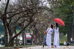 Ảnh chỉ có tính minh họa. (Nguồn: Internet)