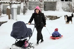 Cảnh tuyết phủ trắng ở nhiều nơi. (Ảnh: THX/TTXVN)