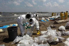 Khắc phục sự cố tràn dầu ở bang Louisiana. (Ảnh: Getty Images)