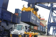 (Ảnh minh họa: Kim Phương/TTXVN)