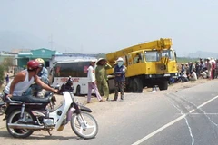 Ảnh chỉ có tính minh họa. (Ảnh: Đức Ánh/TTXVN) 