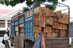 Ảnh chỉ có tính minh họa. (Ảnh: Lê Lâm/TTXVN) 