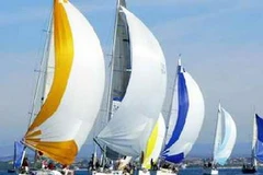 Ảnh chỉ có tính minh họa. (Nguồn: Internet)