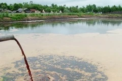 Chất thải chưa qua xử lý của Công ty Vedan đổ trộm ra sông Thị Vải. (Ảnh: Kim Quy/Vietnam+)