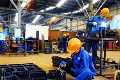Ảnh chỉ có tính minh họa. (Nguồn: Hồng Kỳ/TTXVN) 