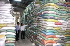 Kho gạo dự trữ xuất khẩu tại tỉnh Trà Vinh. (Ảnh: Đình Huệ/TTXVN)