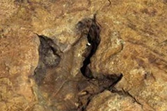 Ảnh chỉ mang tính minh họa. (Nguồn: Internet)