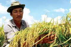 Ảnh chỉ có tính minh họa. (Nguồn: Internet)