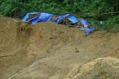 Ảnh chỉ có tính minh họa. (Nguồn: Internet)