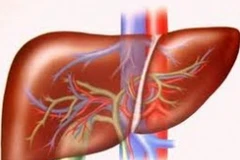 Ảnh minh họa. (Nguồn: Internet)