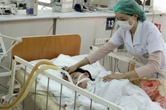 Bác sỹ tại Trung tâm chống độc, Bệnh viện Bạch Mai cấp cứu cho bệnh nhân. (Ảnh: Dương Ngọc/TTXVN)