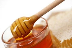 Nhà máy tinh bột biến tính. (Nguồn: Internet)