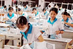 (Ảnh minh họa: Trần Việt/TTXVN) 