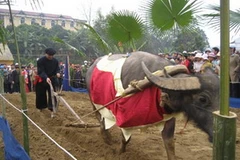 Lễ hội Lồng Tông. (Ảnh: Internet)