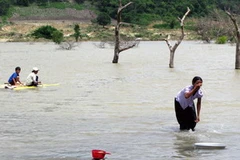 (Ảnh minh họa: Thế Lập/TTXVN)