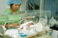 Ảnh chỉ có tính minh họa. (Ảnh: Dương Ngọc/TTXVN)