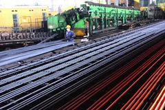 Ảnh chỉ có tính minh họa. (Nguồn: Ngọc Hà/TTXVN)