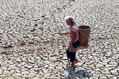 Nhật Bản và Lào sẽ hợp tác chống tình trạng biến đổi khí hậu. (Ảnh minh họa: Sỹ Huynh/TTXVN)