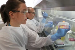 CSIRO nghiên cứu sản xuất vắcxin chống COVID-19. (Nguồn: AAP)