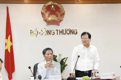 Phó Thủ tướng Trịnh Đình Dũng phát biểu tại buổi làm việc. (Ảnh: Trần Việt/TTXVN)