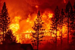 (Nguồn: channel3000)