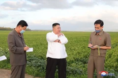 Nhà lãnh đạo Triều Tiên Kim Jong-un (giữa) thăm khu vực bị ảnh hưởng do bão tại tỉnh Nam Hwanghae, Triều Tiên. (Ảnh: Yonhap/TTXVN)