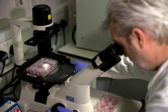 Nghiên cứu vắcxin ngừa virus SARS-CoV-2. (Nguồn: AFP)