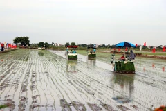 Trình diễn cấy máy. (Ảnh: Mạnh Tú/TTXVN)