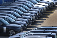 Ảnh minh họa. (Nguồn: EPA-EFE)