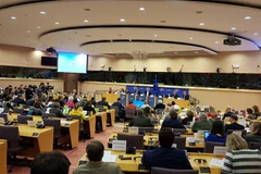 Phiên bỏ phiếu tại INTA. (Ảnh: Kim Chung/TTXVN)