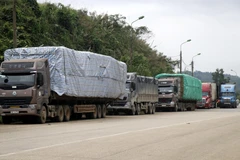 Xe container phía ngoài bãi kiểm hóa cửa khẩu Kim Thành. (Ảnh: Quốc Khánh/TTXVN)