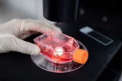 Kiểm tra các loại vắcxin thử nghiệm chữa dịch bệnh COVID-19 trong phòng thí nghiệm. (Nguồn: AFP)