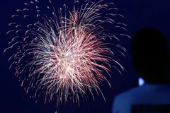 (Nguồn: kyodonews)