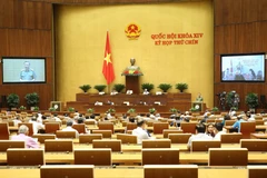 (Ảnh: Doãn Tấn/TTXVN)