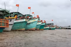 Bến Tre kiểm soát chặt việc cấp giấy phép khai thác thủy sản