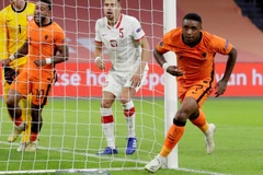 Steven Bergwijn mang chiến thắng về cho Hà Lan. (Nguồn: Getty Images)