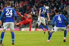 Lịch trực tiếp vòng mở màn Bundesliga: Bayern đối đầu Schalke 04